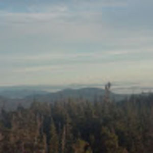 Meet your Posher, Dan